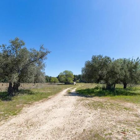 מדריד Finca El Palomar De La Vina מראה חיצוני תמונה