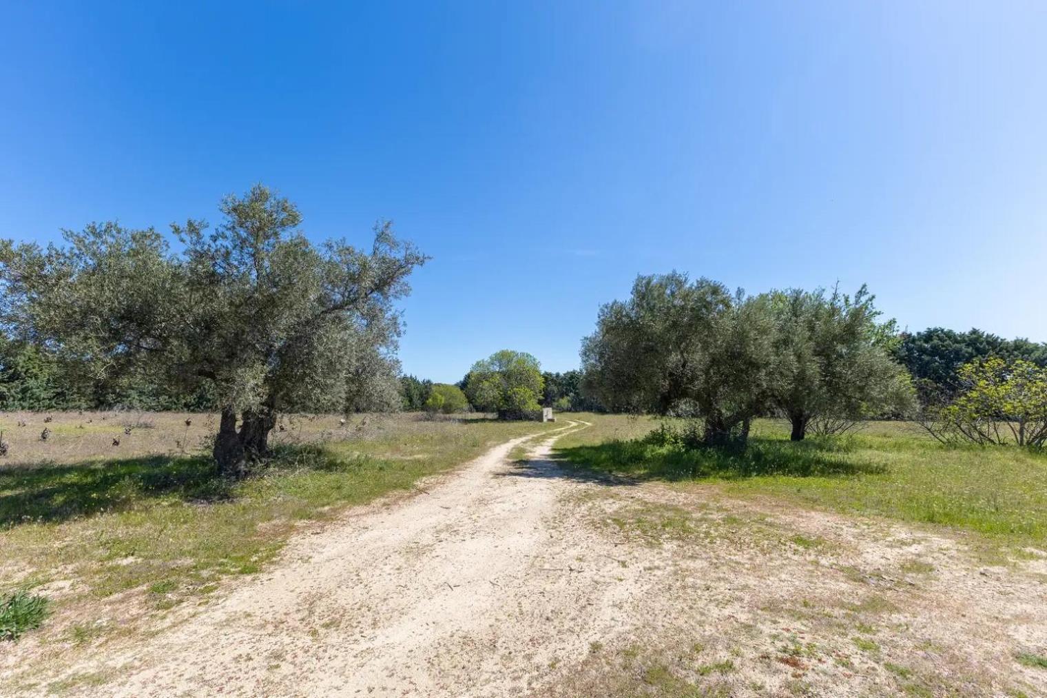 מדריד Finca El Palomar De La Vina מראה חיצוני תמונה